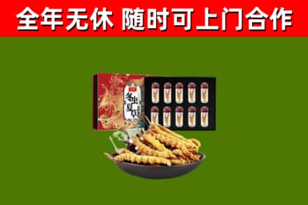 临汾市回收冬虫夏草价格